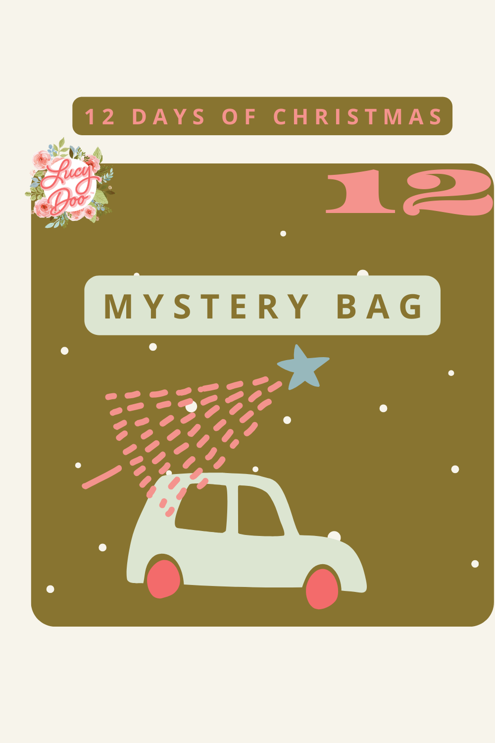 Mystery Bag Deal- Day 12